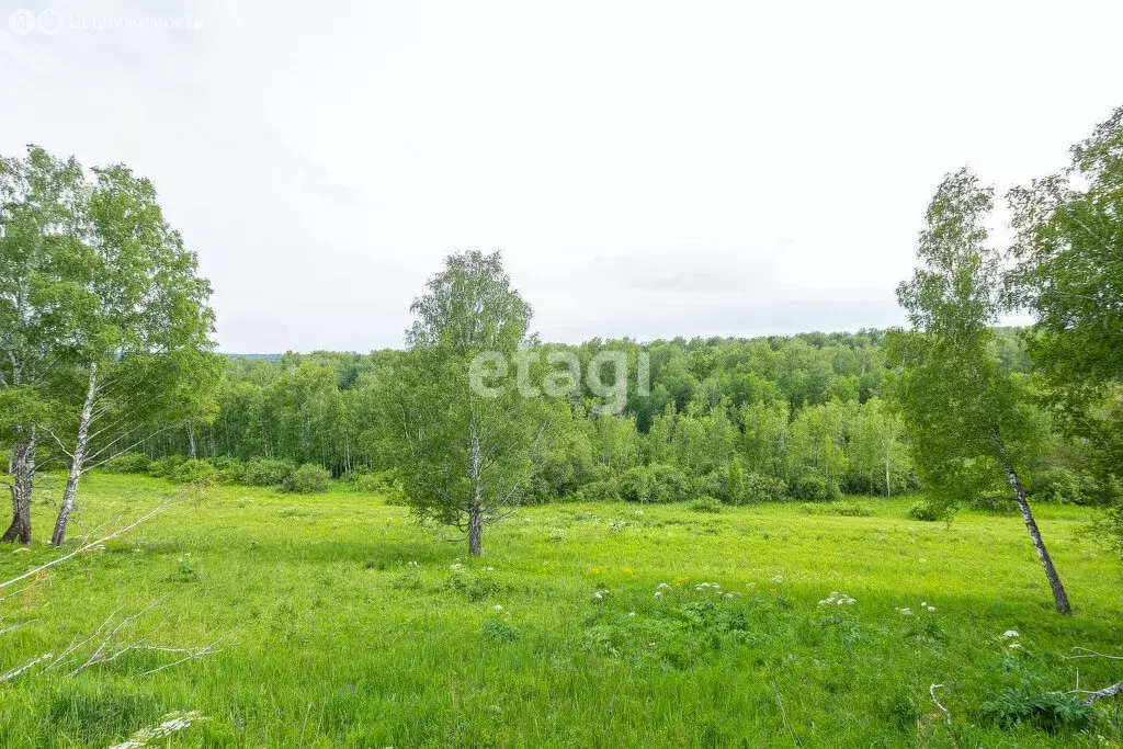 Участок в Барышевский сельсовет, ДНТ Лазурный Берег (8.6 м) - Фото 1