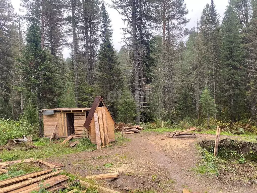 Участок в Алтай, Турочакский район, с. Артыбаш ул. Серебряная (13.0 ... - Фото 1