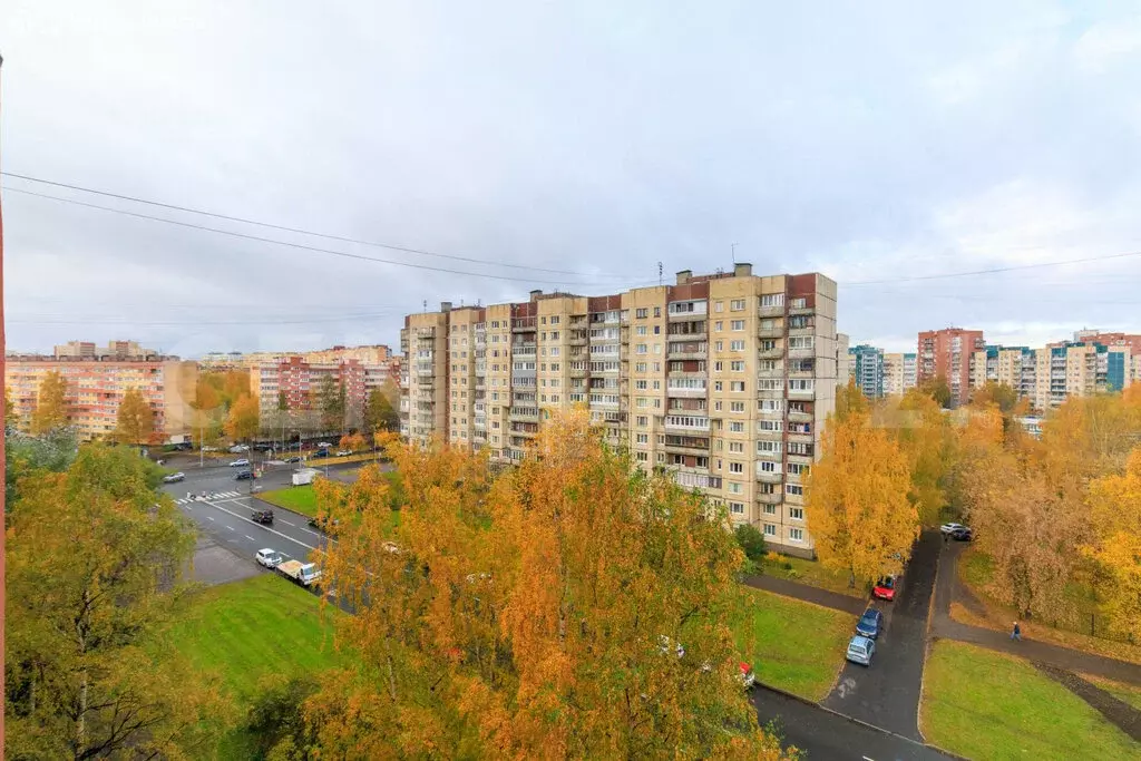 1-комнатная квартира: Санкт-Петербург, проспект Кузнецова, 20 (36.2 м) - Фото 2