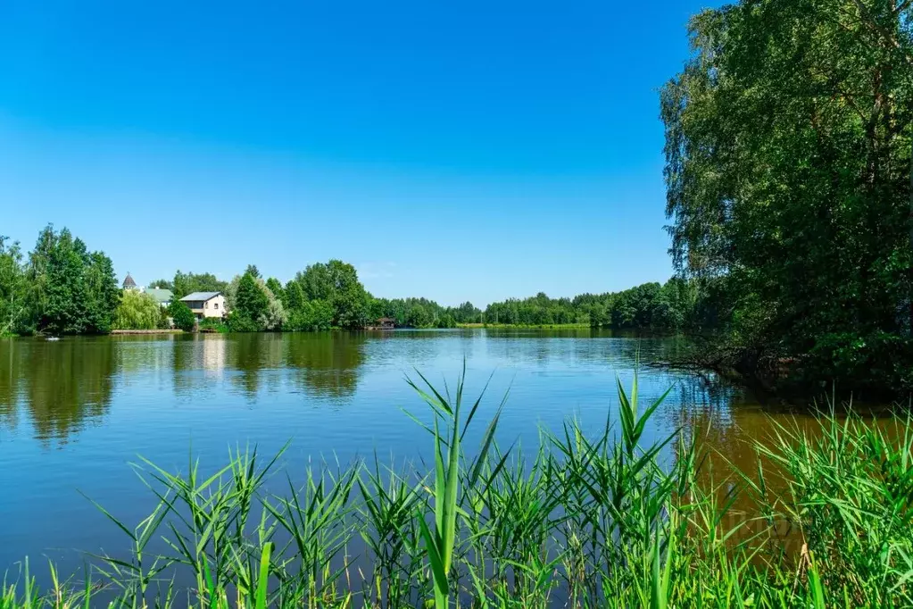 Участок в Московская область, Богородский городской округ, д. Мишуково ... - Фото 1