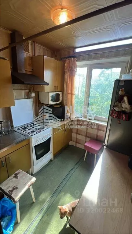 2-к кв. Мурманская область, Мурманск проезд Ивана Халатина, 8 (45.0 м) - Фото 0