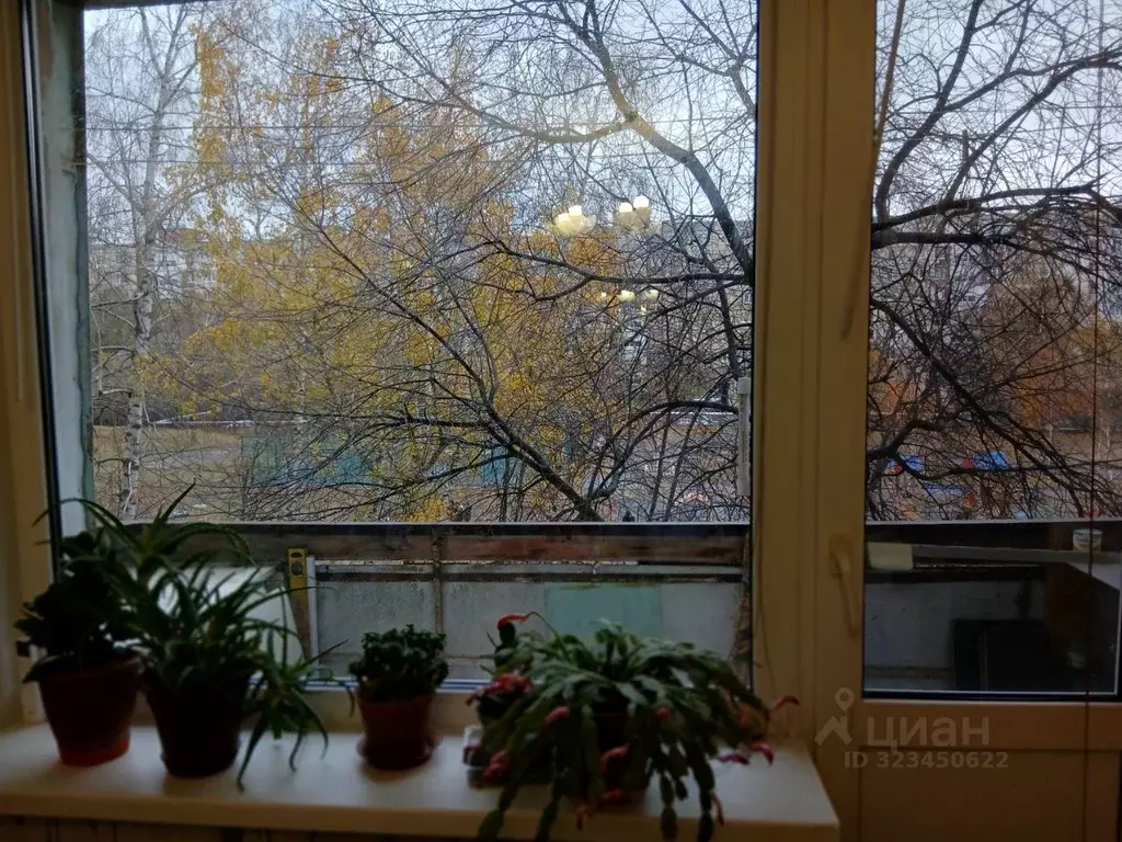 1-к кв. Саратовская область, Саратов Топольчанская ул., 1а (32.8 м) - Фото 2