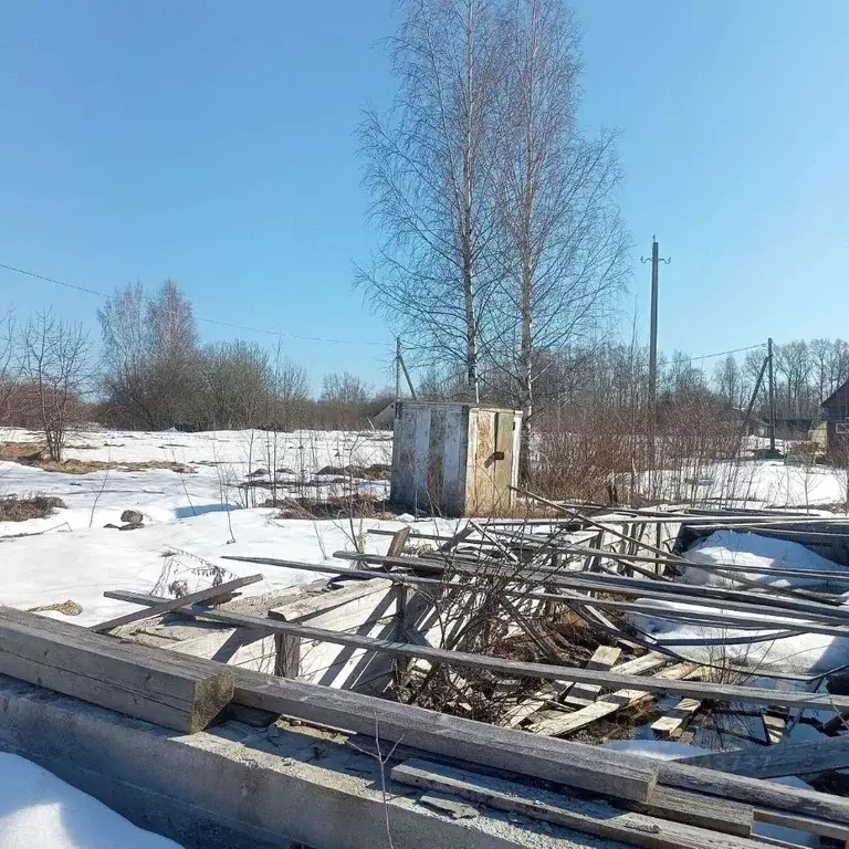 Участок в Вологодская область, Шекснинский муниципальный округ, д. ... - Фото 2