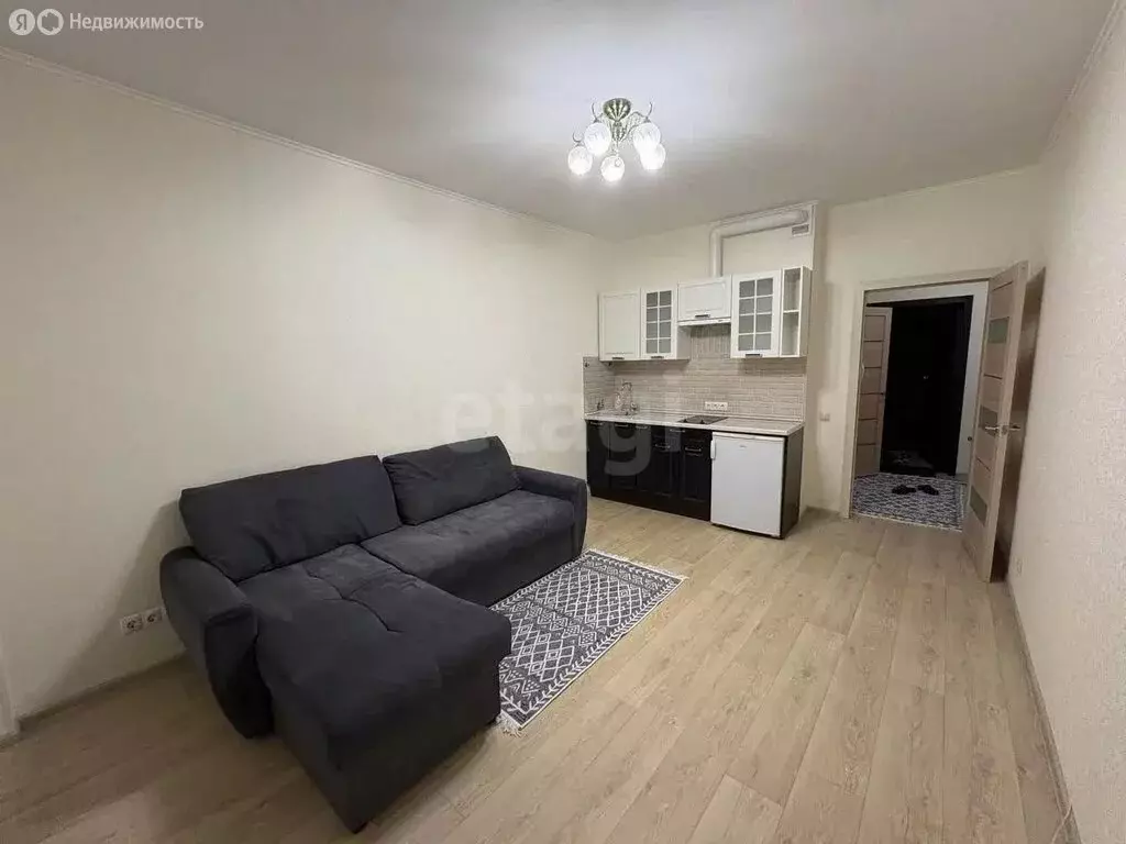 Квартира-студия: Новосибирск, Приморская улица, 24 (24.9 м) - Фото 1