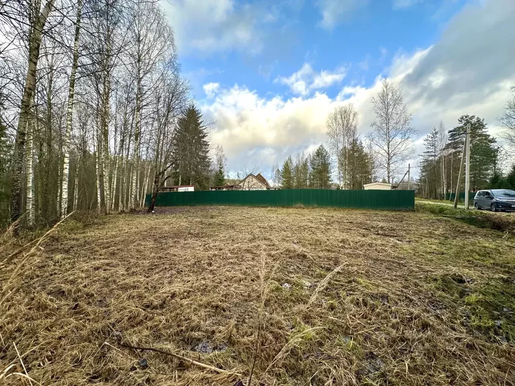 Участок в Ленинградская область, Гатчинский муниципальный округ, ... - Фото 1