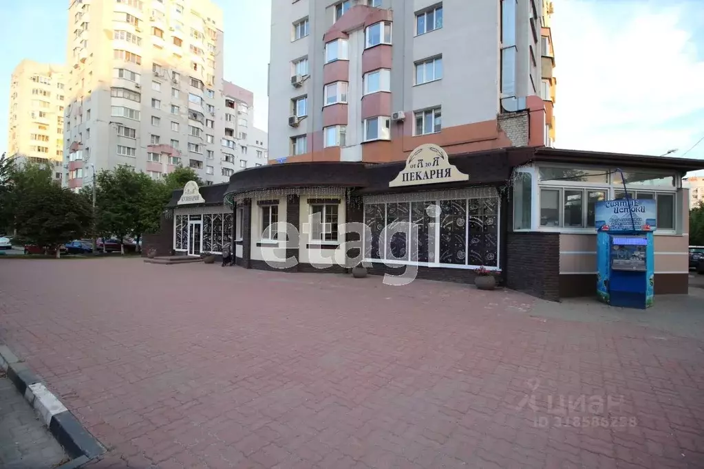 Торговая площадь в Белгородская область, Белгород бул. Юности, 3 (235 ... - Фото 1