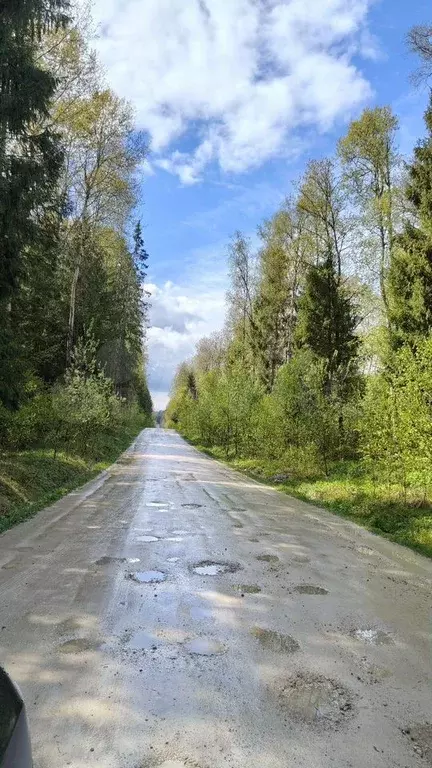 Участок 10 сот. (СНТ, ДНП) - Фото 0