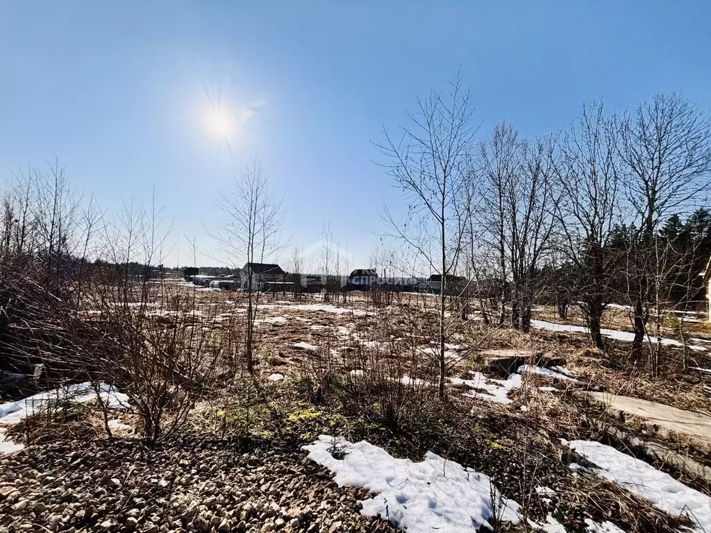 Участок в Ленинградская область, Ломоносовский район, Лопухинское ... - Фото 1