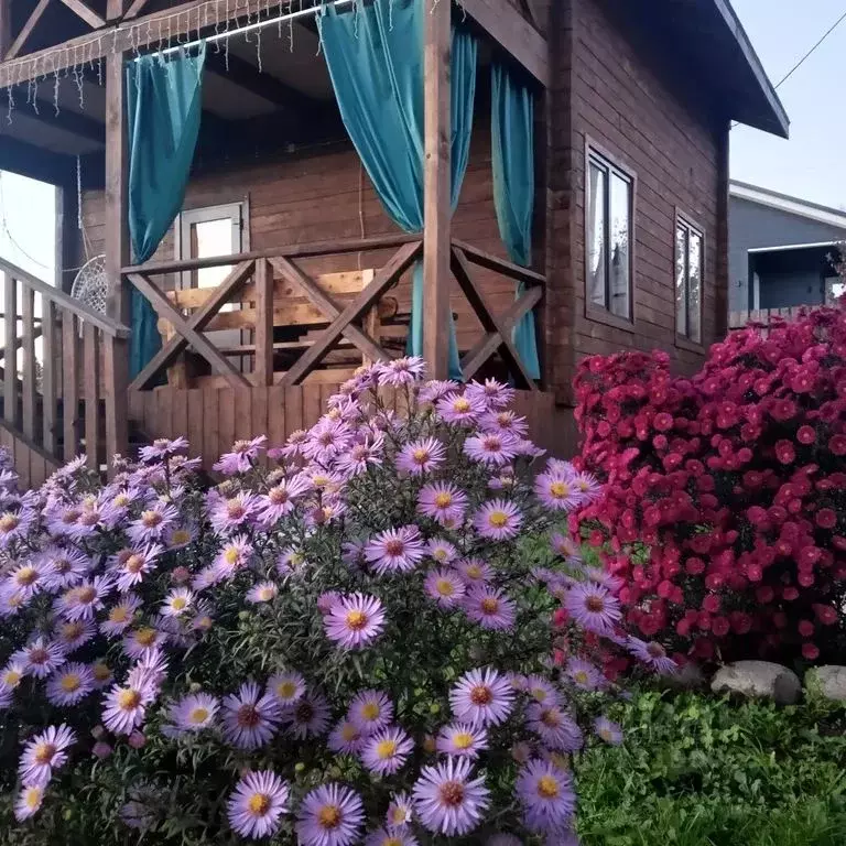 Дом в Алтай, Майминский район, Манжерокское с/пос, с. Озерное ул. ... - Фото 1