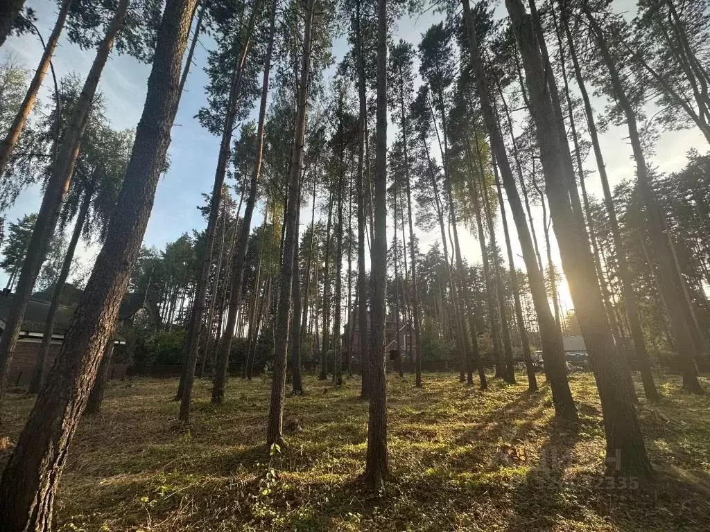 Участок в Московская область, Химки Новогорск-7 кп,  (8.0 сот.) - Фото 1