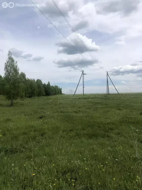 Участок в Щёкинский район, сельское поселение Яснополянское, село ... - Фото 2