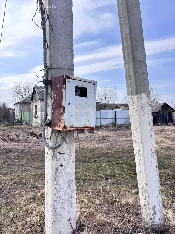 Участок в Белгородская область, Алексеевский муниципальный округ, село ... - Фото 1