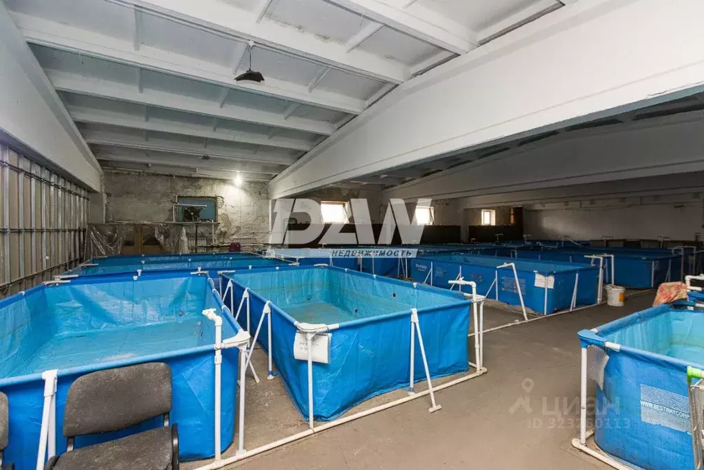 Производственное помещение в Челябинская область, Копейск ул. Мира, 4 ... - Фото 1