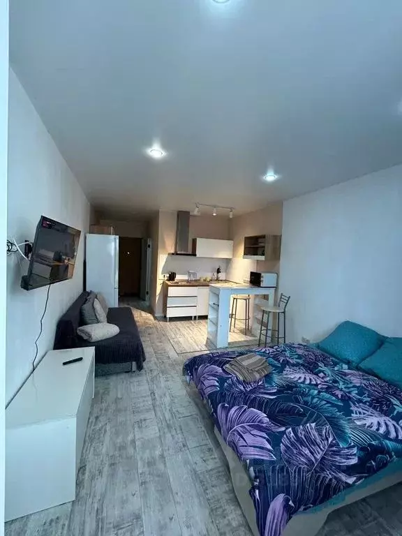 Студия Московская область, Старая Купавна Богородский городской округ, ... - Фото 1