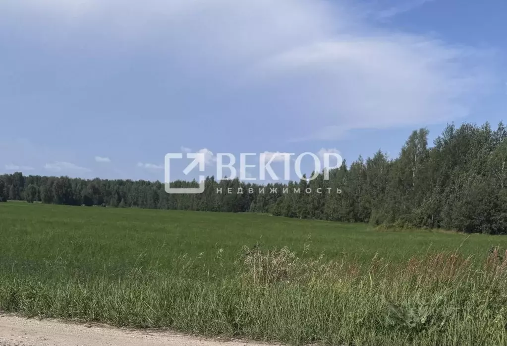 Участок в Ярославская область, Ярославский муниципальный округ, д. ... - Фото 1