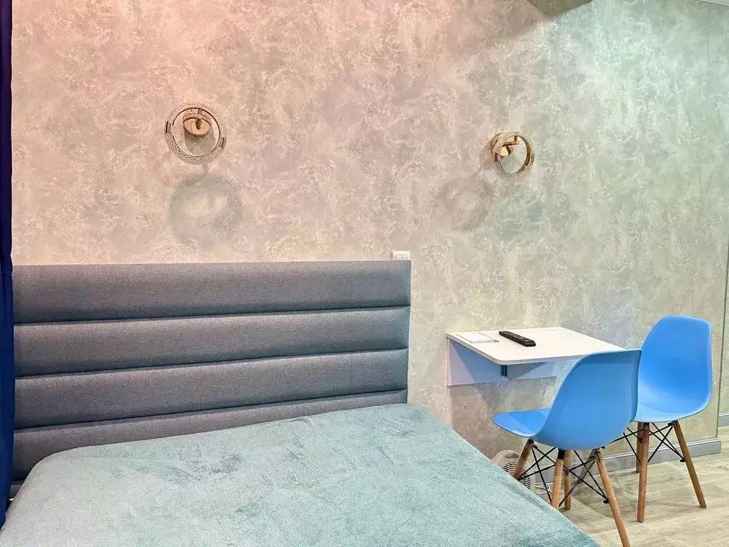 Студия Санкт-Петербург ул. Достоевского, 27 (12.0 м) - Фото 1