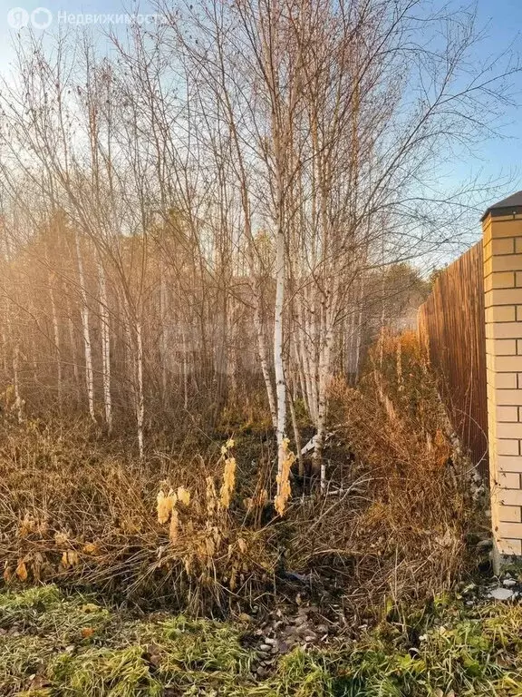 Участок в Екатеринбург, СНТ Мечта (8.73 м) - Фото 2