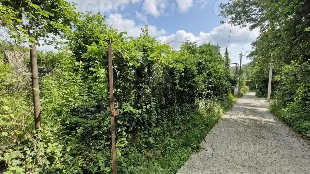 Участок в Краснодарский край, Сочи городской округ, с. Верхний Юрт ул. ... - Фото 1