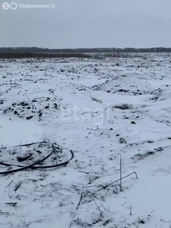 Участок в Белгородский район, Головинское сельское поселение, село ... - Фото 1