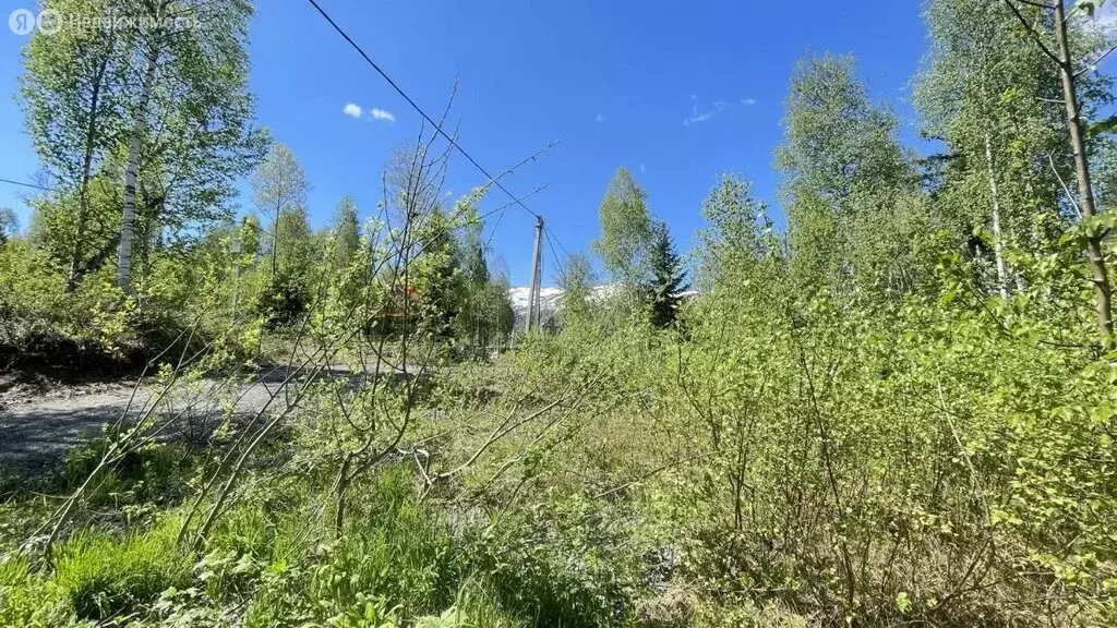 Участок в посёлок городского типа Шерегеш, Берёзовая улица, 8 (12 м) - Фото 2