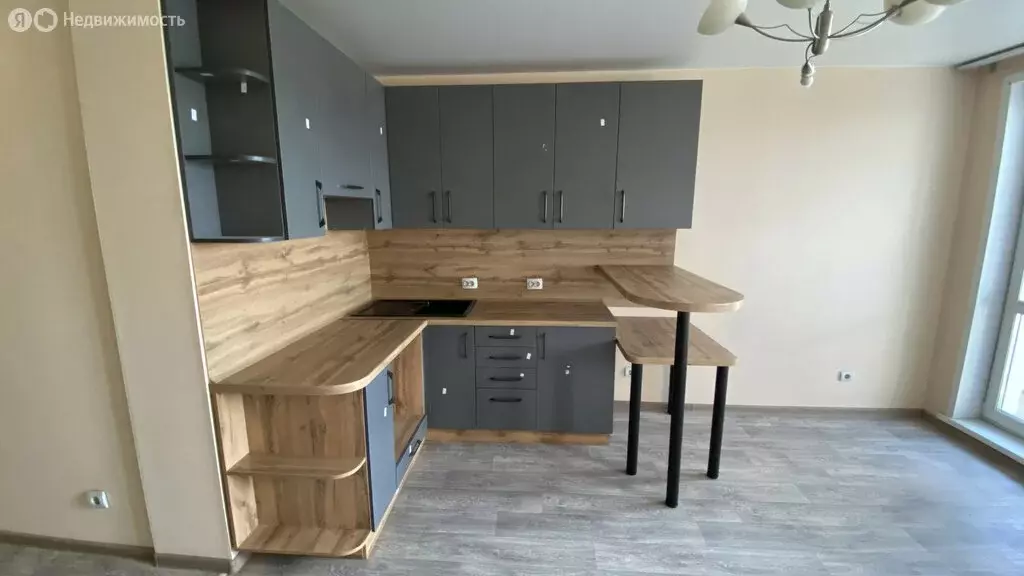 Квартира-студия: Барнаул, улица Никитина, 107 (26.9 м) - Фото 1