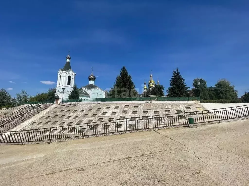 Участок в Тамбовская область, Сосновский муниципальный округ, с. ... - Фото 1