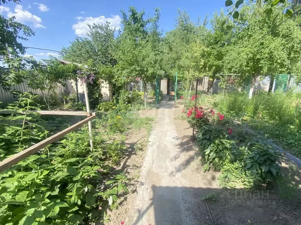 Дом в Ставропольский край, Буденновский муниципальный округ, с. ... - Фото 2