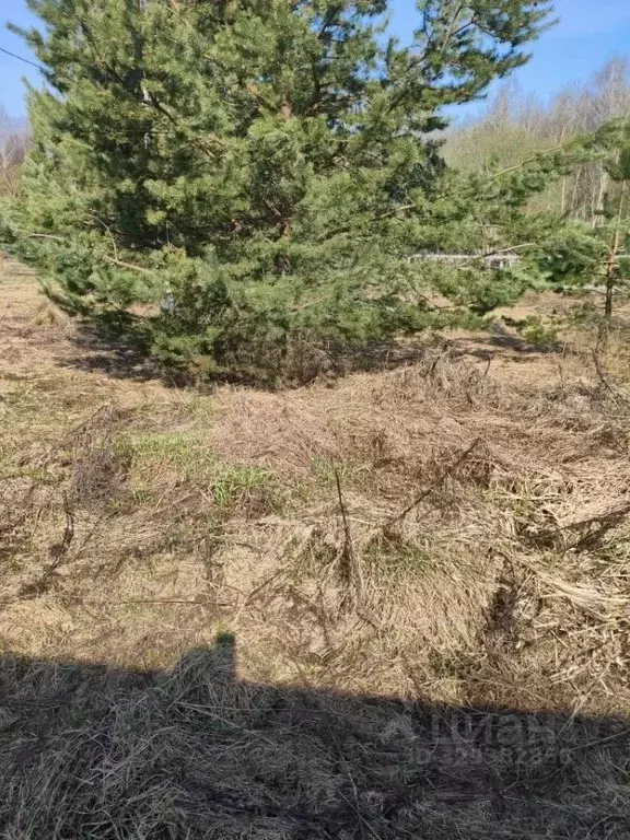 Участок в Московская область, Шатура муниципальный округ, д. ... - Фото 1