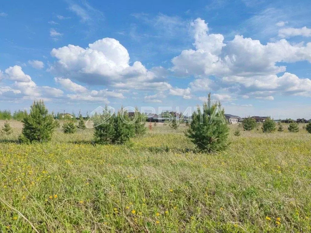 Участок в Тюменская область, Тюменский район, с. Ембаево  (7.06 сот.) - Фото 0