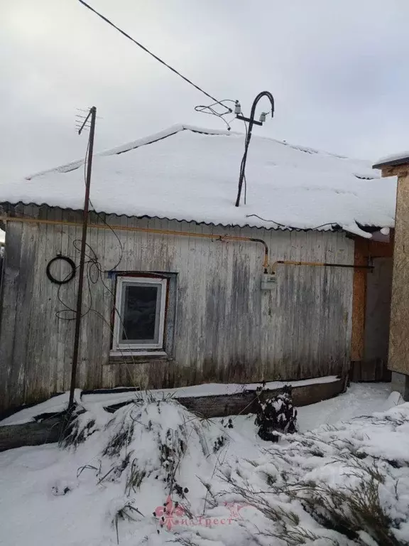 Дом в Белгородская область, Яковлевский муниципальный округ, с. Шопино ... - Фото 2