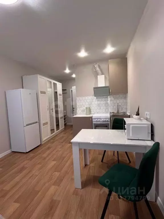 Студия Приморский край, Владивосток Стрелковая ул., 18к2 (24.3 м) - Фото 1