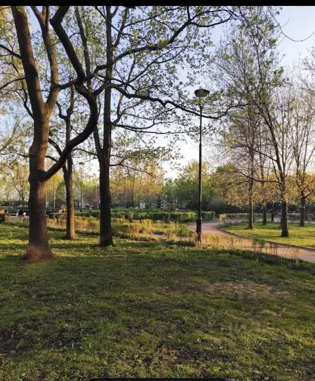 3-к кв. Санкт-Петербург ул. Опочинина, 1 (64.0 м) - Фото 2