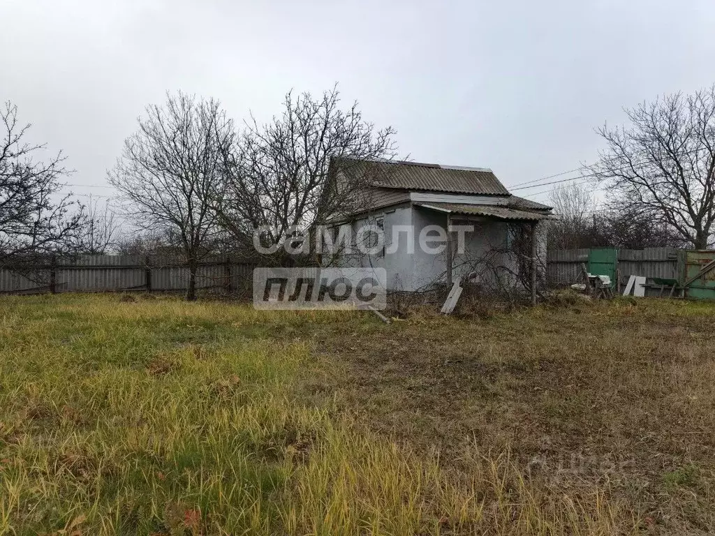 Дом в Курская область, Курский район, Пашковский сельсовет, Верховье ... - Фото 1