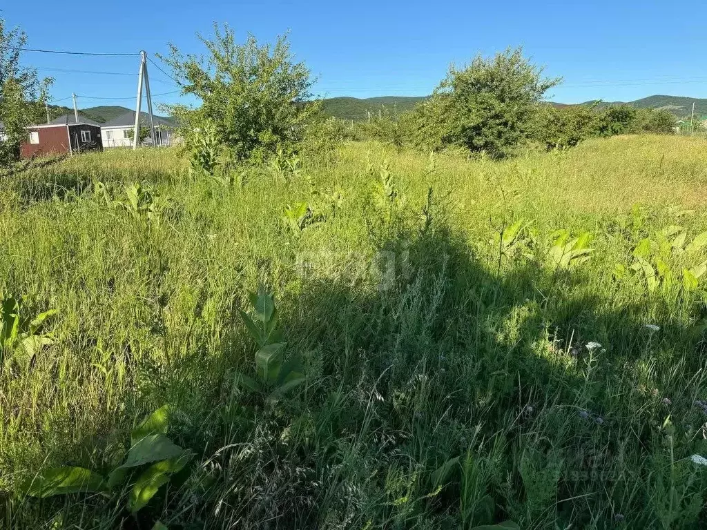Участок в Краснодарский край, Новороссийск городской округ, ... - Фото 1