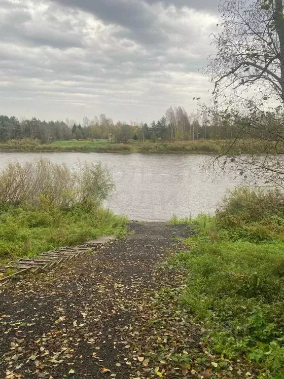 Участок в Новгородская область, Новгородский район, Савинское с/пос, ... - Фото 1