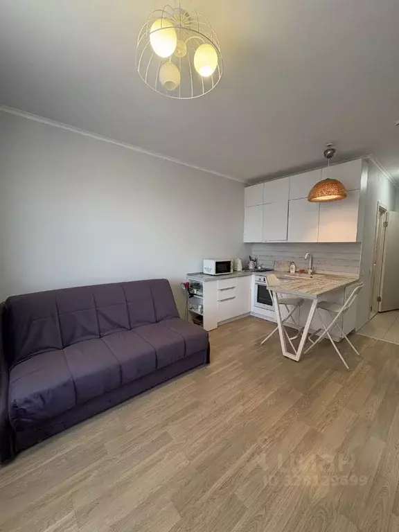 Студия Москва Боровское ш., 2к7 (22.3 м) - Фото 2