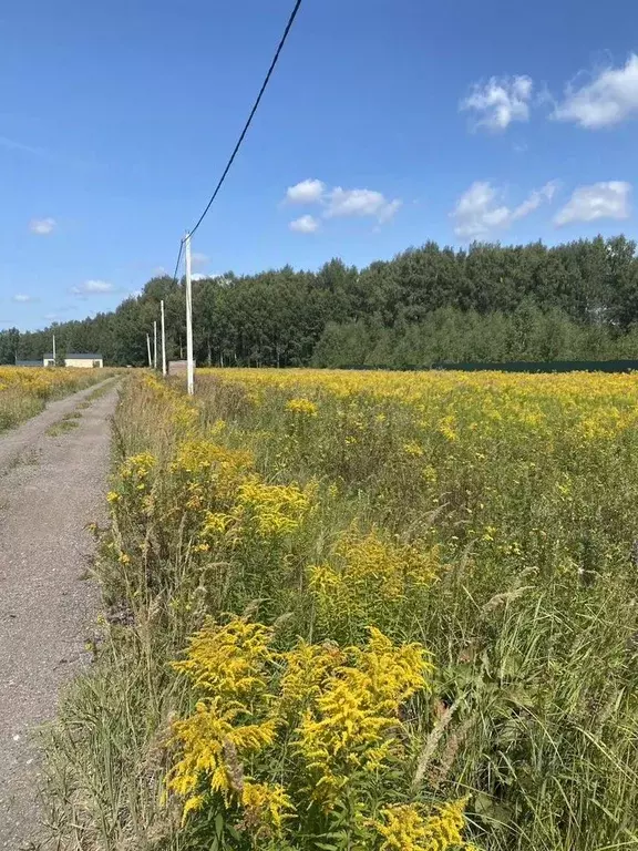 Участок в Московская область, Раменский муниципальный округ, пос. ... - Фото 1