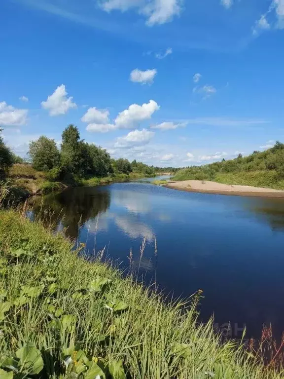 Дом в Архангельская область, Шенкурский муниципальный округ, д. ... - Фото 1
