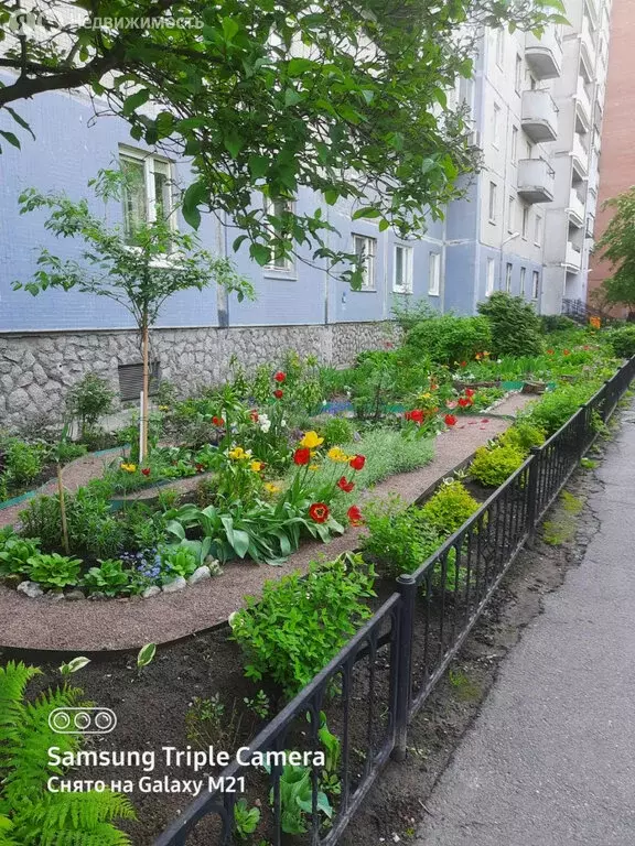 1-комнатная квартира: Санкт-Петербург, Яхтенная улица, 4к3 (38.8 м) - Фото 1