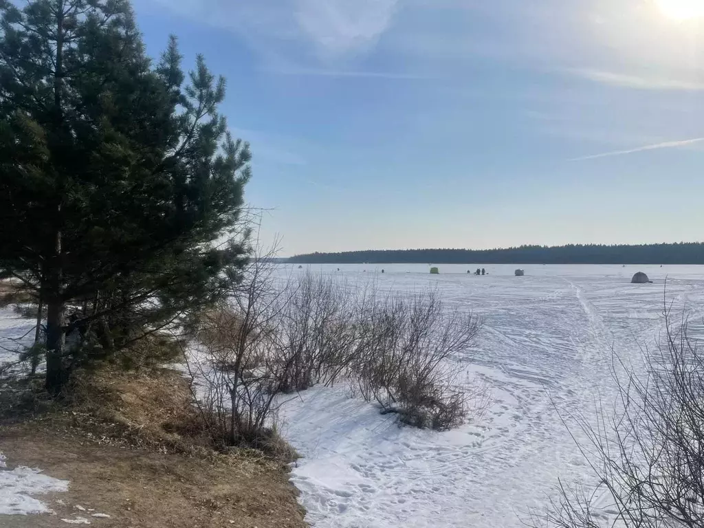 Участок в Московская область, Клин городской округ, д. Комлево  (15.5 ... - Фото 1