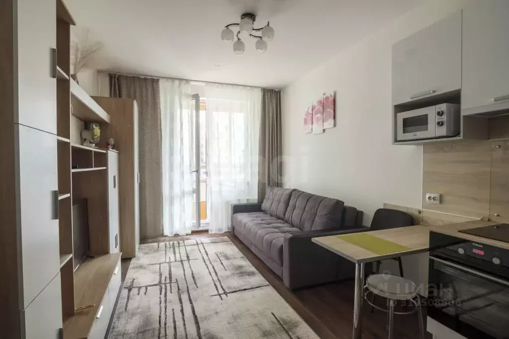 Студия Санкт-Петербург аллея Арцеуловская, 21 (25.0 м) - Фото 1