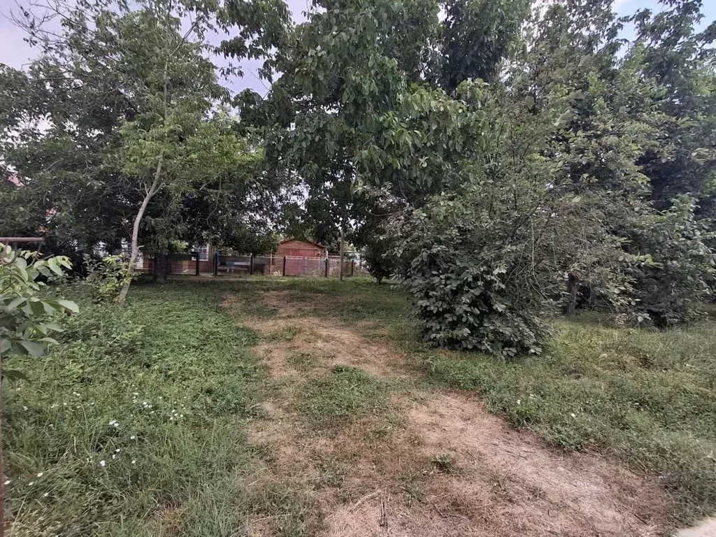 Дом в Краснодарский край, Абинск ул. Лузана (54 м) - Фото 1