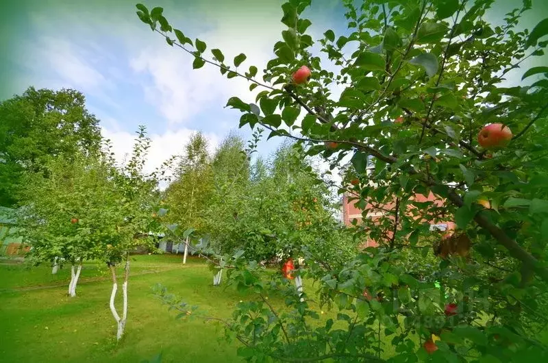 Дом в Московская область, Наро-Фоминский городской округ, д. ... - Фото 1