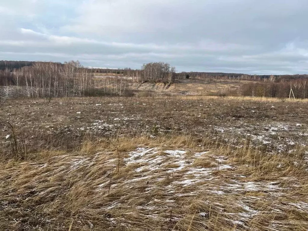 Участок в Московская область, Серпухов городской округ, д. Каргашино  ... - Фото 0