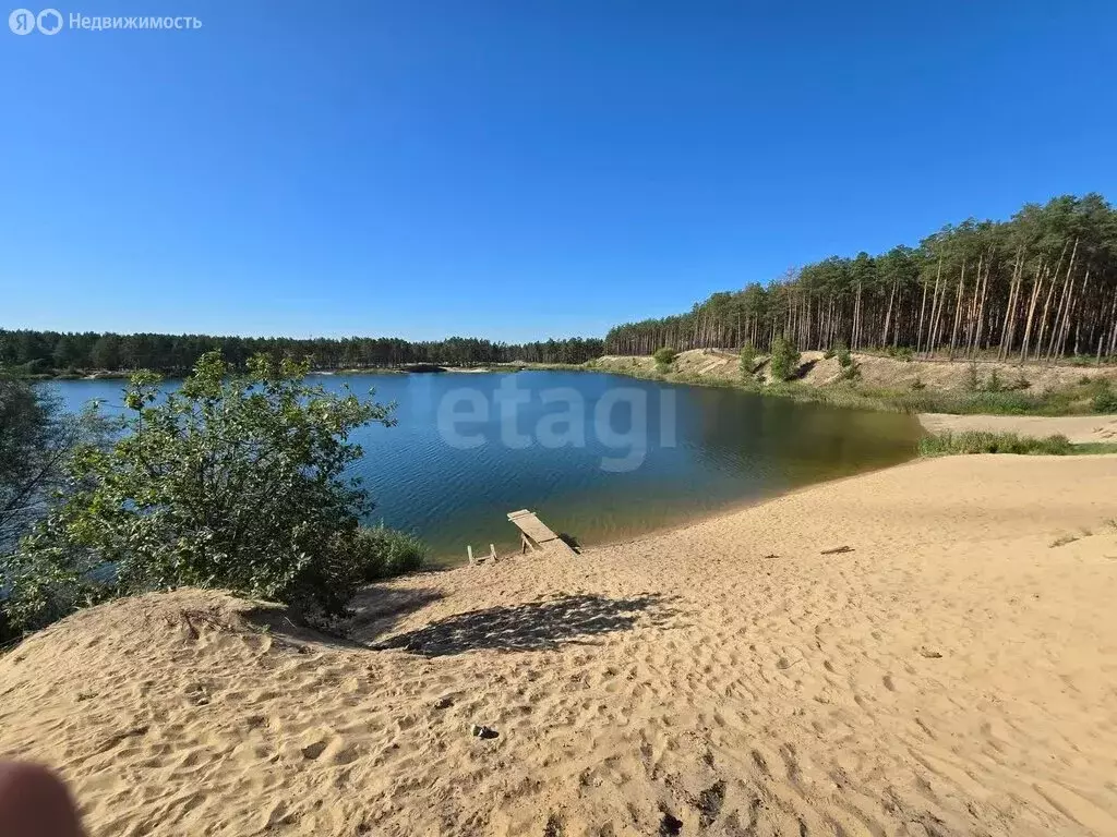 Участок в Брянск, СТ Автодор (6.14 м) - Фото 1