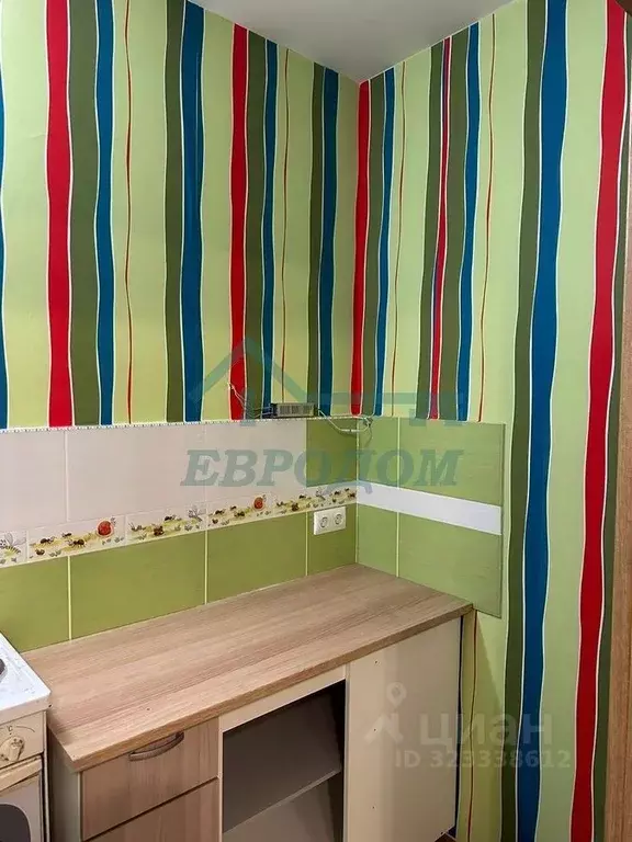 1-к кв. Новосибирская область, Новосибирск ул. Виктора Шевелева, 24 ... - Фото 2