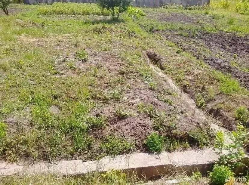 Участок в Белгородская область, Новый Оскол Центральная ул. (16.0 ... - Фото 0