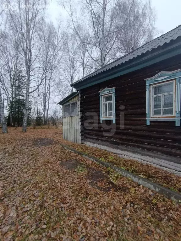 Дом в село Малая Зоркальцева, Советская улица (41 м) - Фото 2