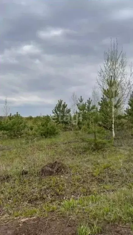 Участок в Тюменская область, Тюменский район, с. Кулига  (9.9 сот.) - Фото 0