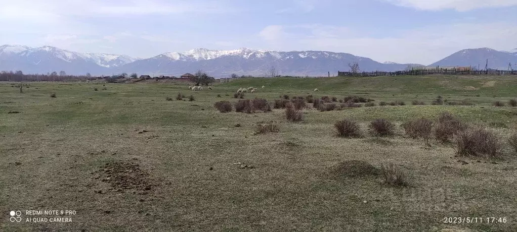 Участок в Алтай, Усть-Коксинский район, с. Горбуново  (20.0 сот.) - Фото 2